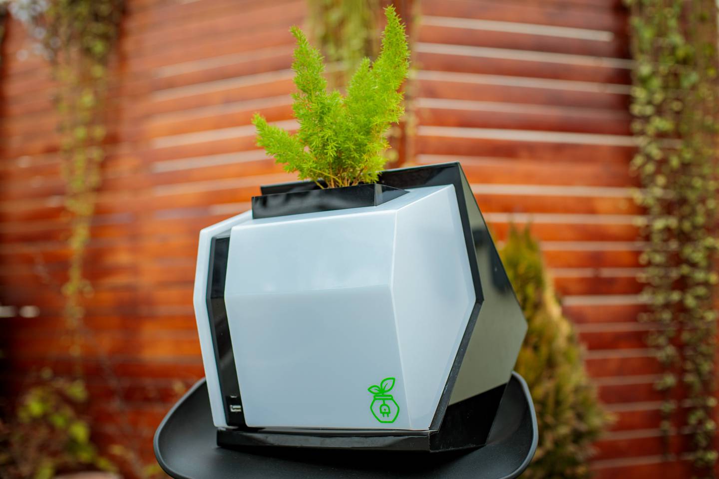 El biocargador que usa plantas para generar energía