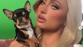 Paris Hilton acude a psíquicos de mascotas por su cachorra perdida: “Está viva”