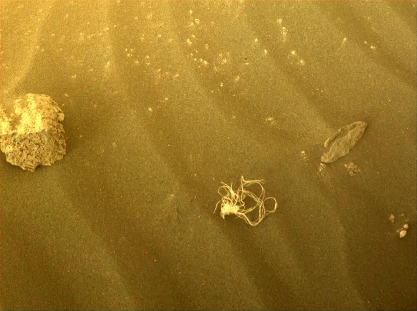 Imagen capturada por el rover Perseverance