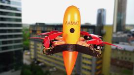 Este interceptor vuela para cazar drones