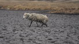 Una laguna entera desaparece en los Andes de Perú por sequía