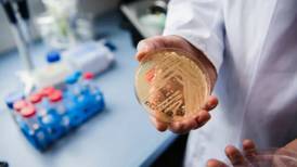Detectan dos casos de Candida auris, un hongo resistente a medicamentos
