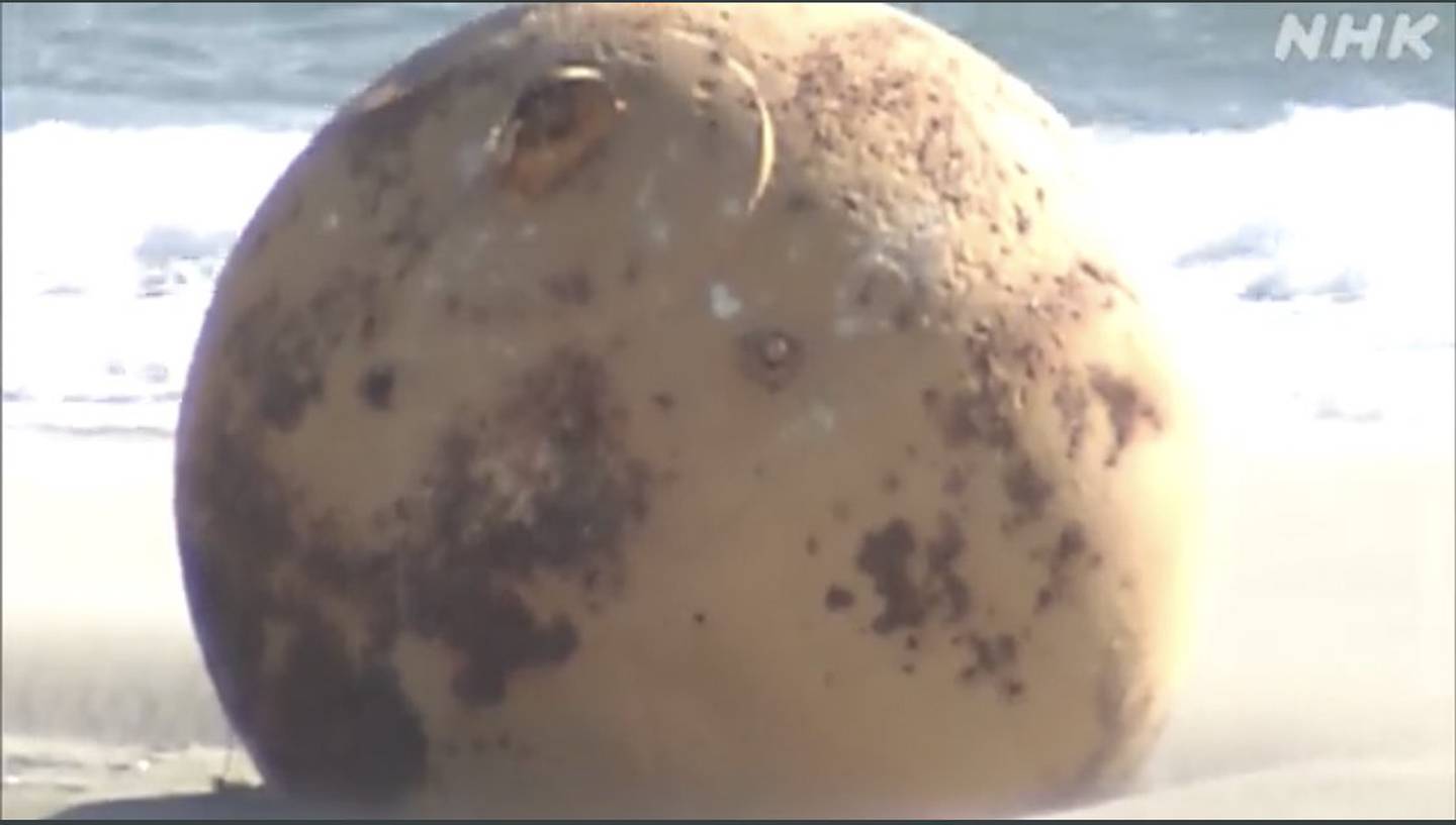 Extraña bola metálica encontrada en playa de Japón