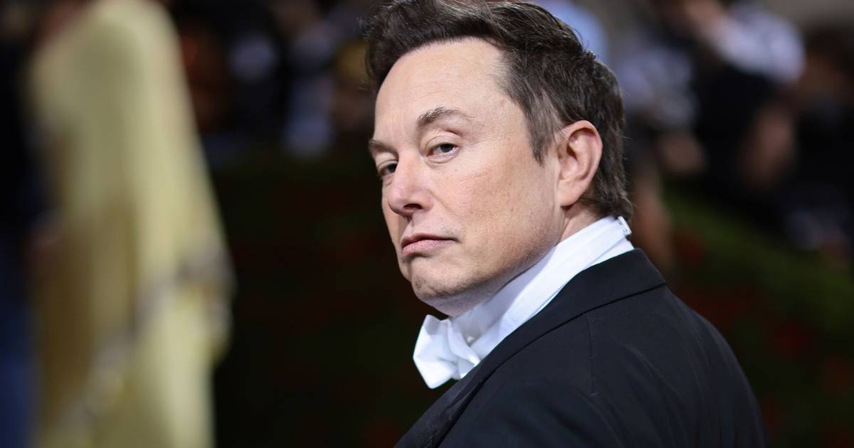 Twitter: Directors of the social network are fired amid the purchase of Elon Musk