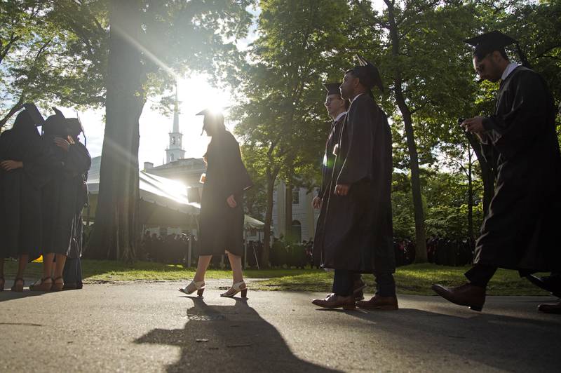 Graduados caminan hacia su ceremonia de fin de término en Harvard.