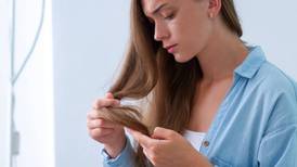Mascarilla de aguacate para un cabello sano y libre de canas: aprende a hacerla
