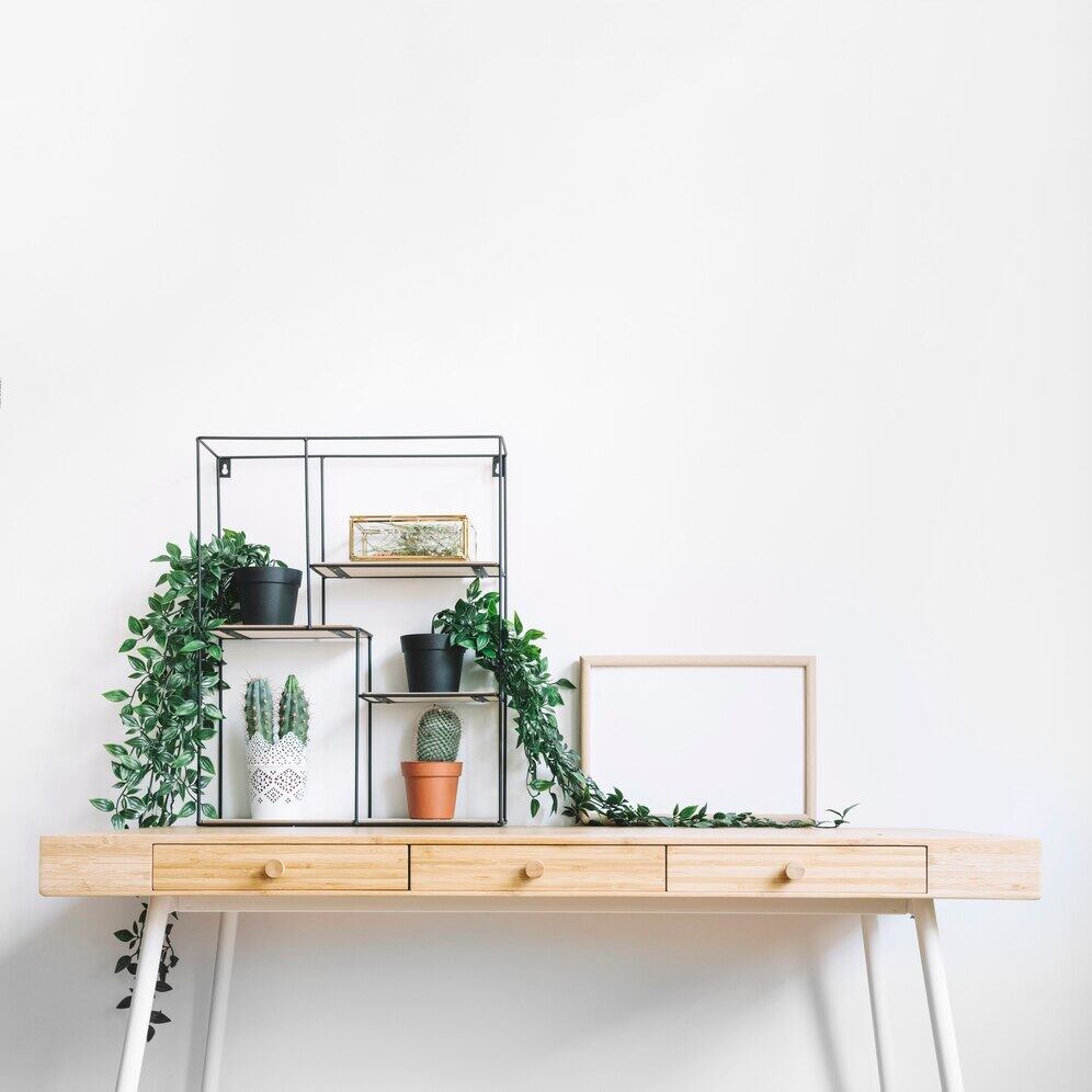 Las plantas le dan vida al espacio
