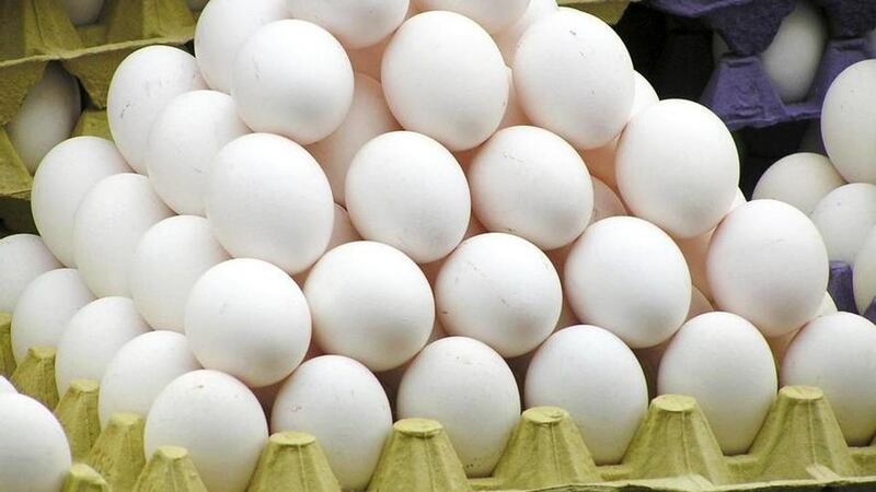 La pérdida de pollos locales produjo un alza en los precios del huevo. | Foto: Referencial