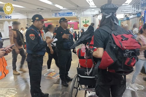 Cuervo viaja en el Metro ante asombro de pasajeros y de la policía 