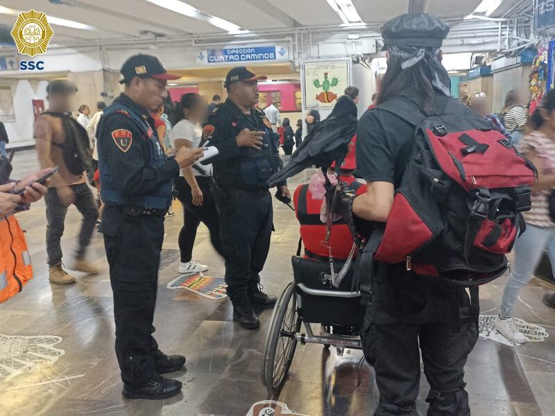 Cuervo viaja en el Metro ante asombro de pasajeros y de la policía 