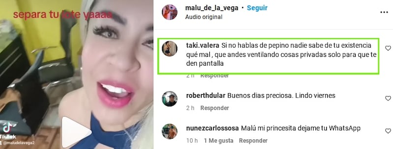 Crítica Malú de la Vega