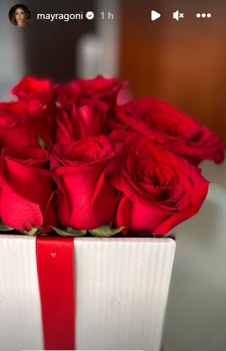 Las flores de Mayra Goñi.