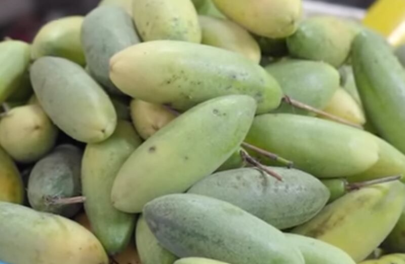 Tumbo, un fruto que crece en la sierra peruana