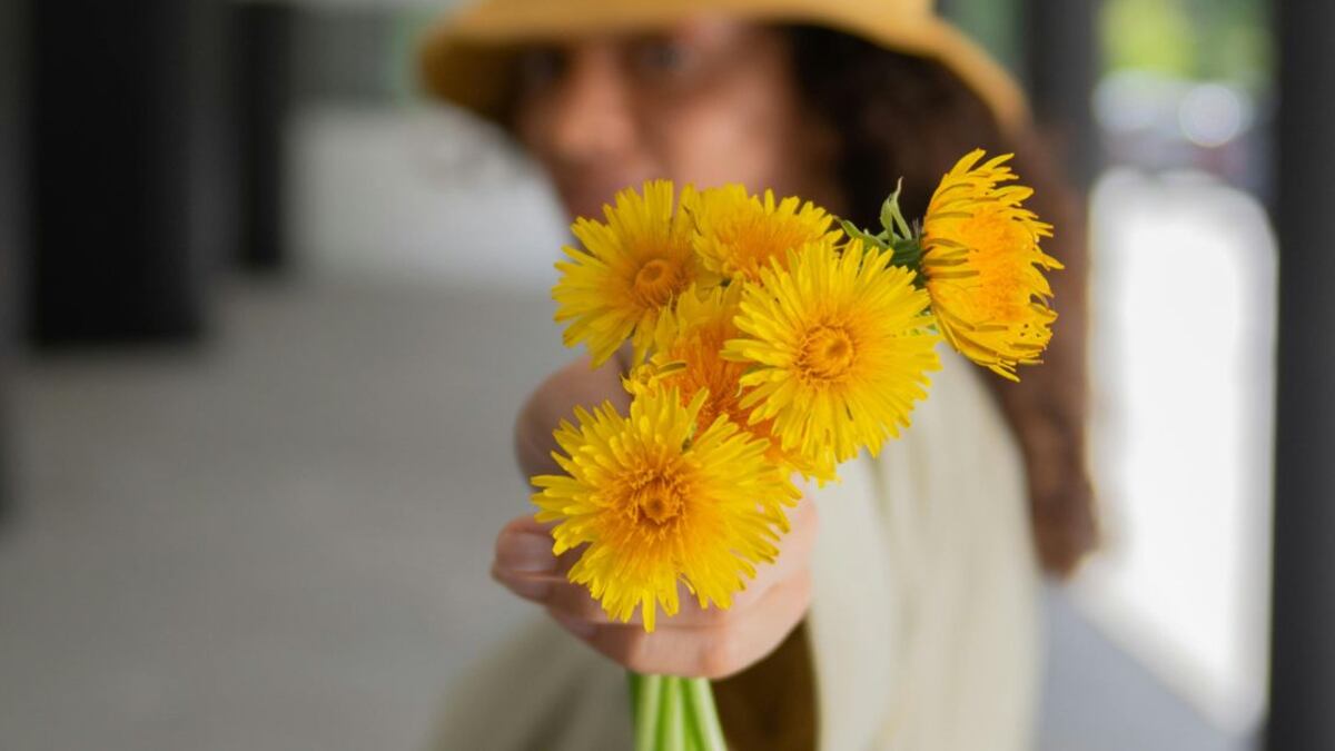 La tradición de recibir y regalar flores amarillas el 21 de marzo es muy popular en redes sociales