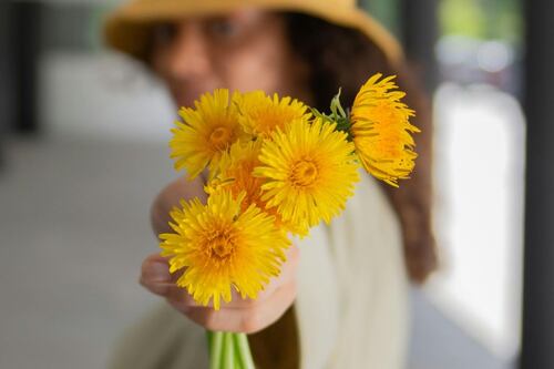 La razón por la que se regalan flores amarillas el 21 de marzo: involucra a una famosa novela