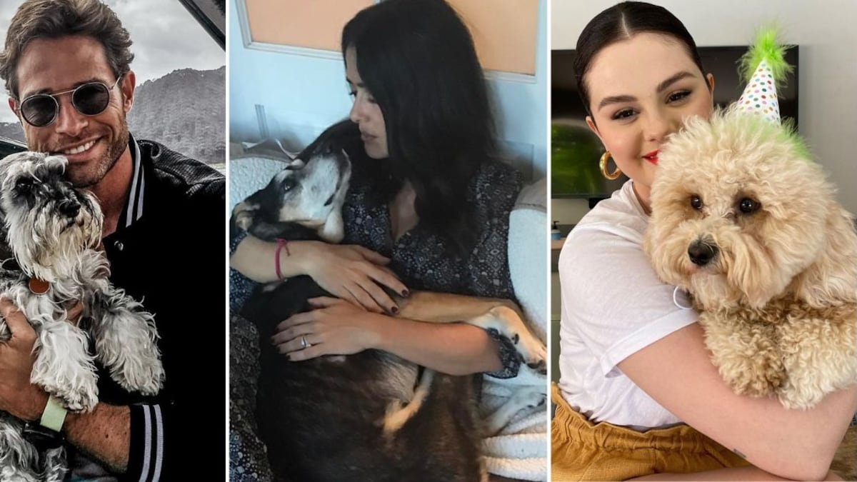 Sebastián Rulli, Salma Hayek y Selena Gomez han conmovido con las historias de adopción de sus perros |