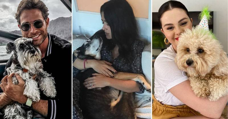 Sebastián Rulli, Salma Hayek y Selena Gomez han conmovido con las historias de adopción de sus perros |